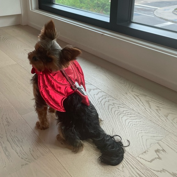 Iridescent Devil Demon Costume - Picture 1 of 5